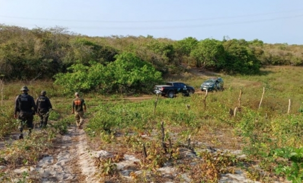 Cear� registra R$ 13 milh�es em multas por desmatamento ilegal