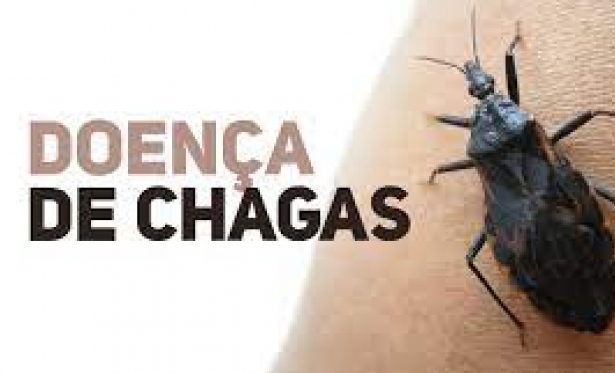 Novo Oriente realiza campanha contra a Doena de Chagas.